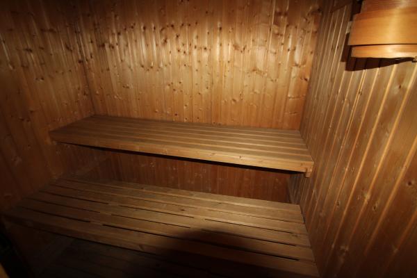 le sauna