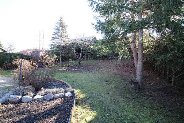 jardin arboré sans aucun vis-à-vis