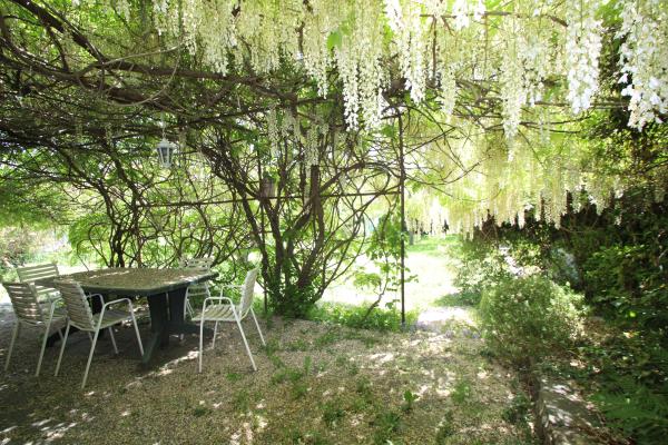 Terrasse ombragée féerique