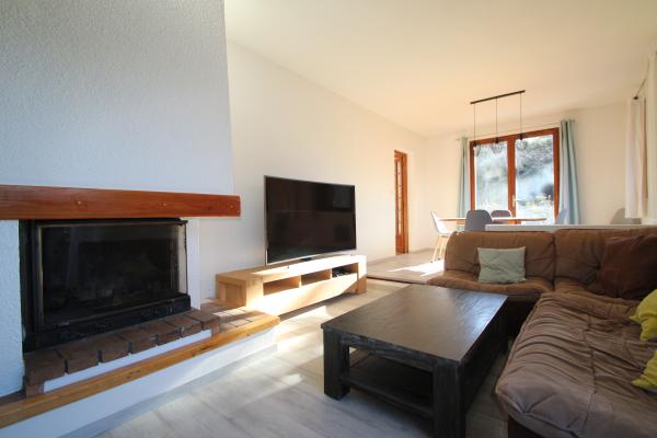 séjour avec cheminée